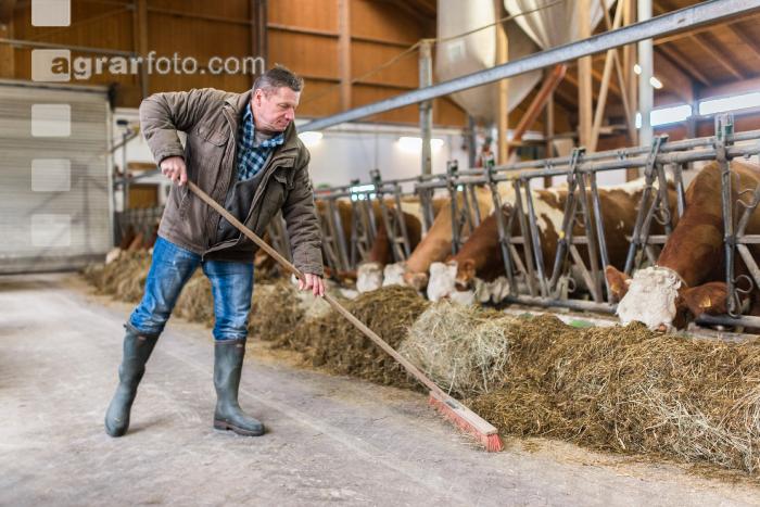 Bauer Stallarbeit 4