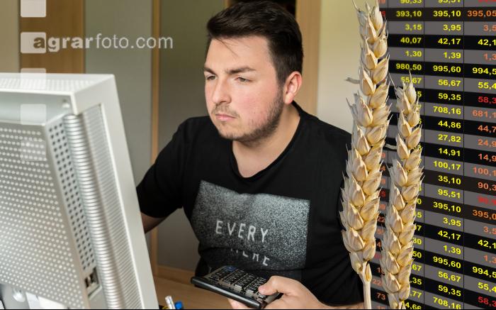 Im Büro eines Landwirtes 1