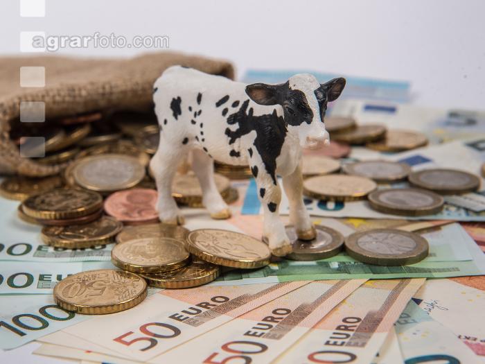 Finanzen Rinder 21