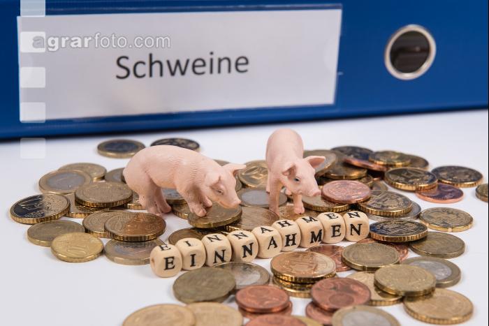 Finanzen Schweine 1