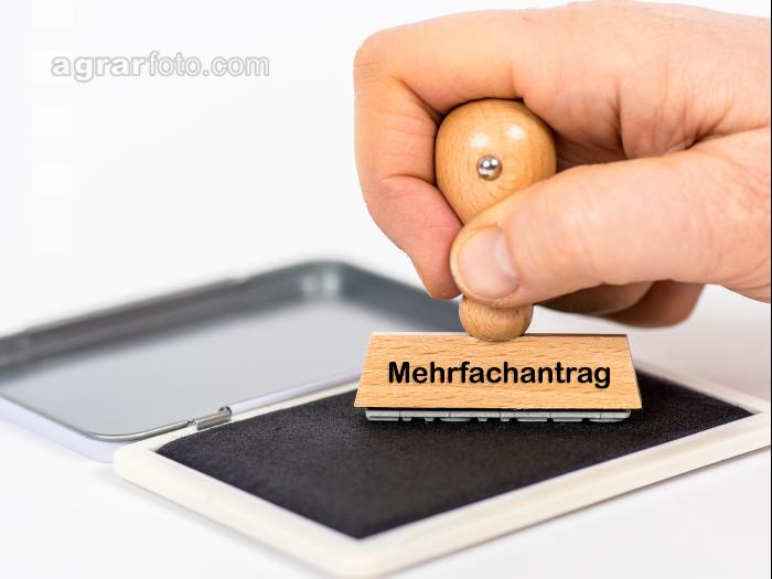 Mehrfachantrag