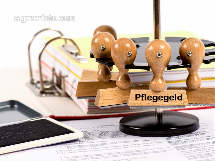 Pflegegeld