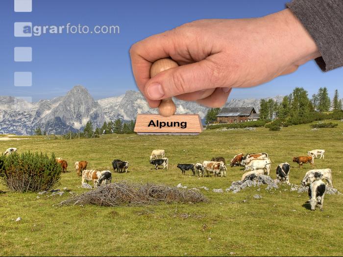 Alpung