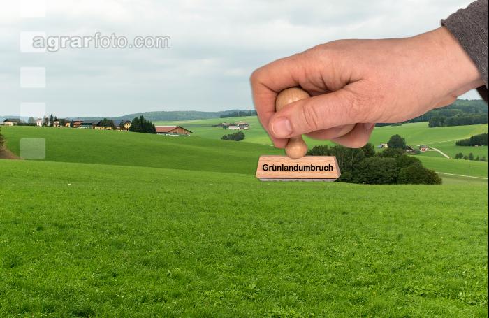 Grünlandumbruch