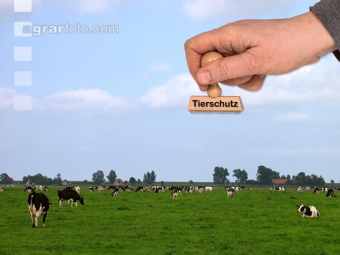 Tierschutz