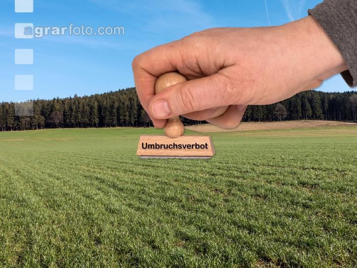 Umbruchsverbot