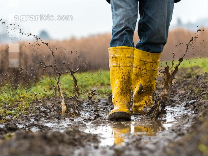 Regenwetter 4