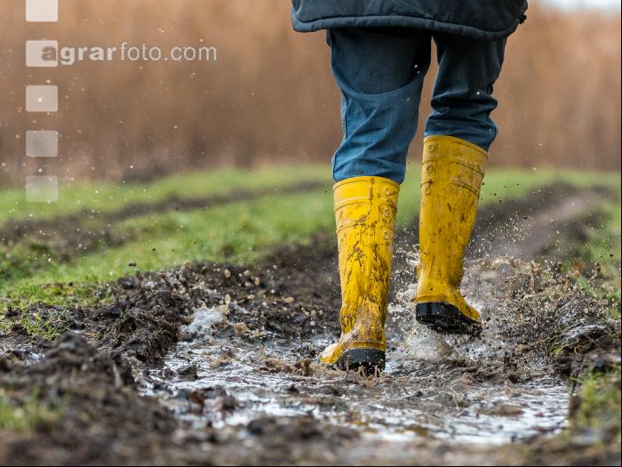 Regenwetter 2