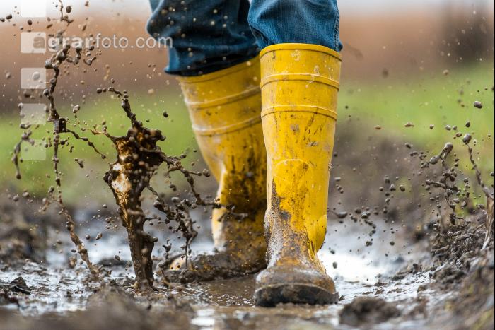 Regenwetter 1