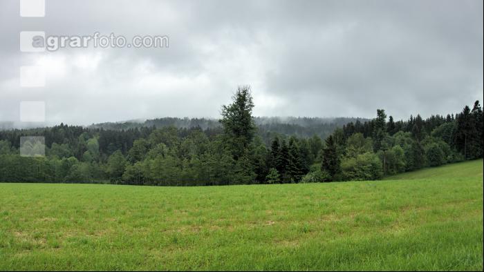 Regenwetter 8