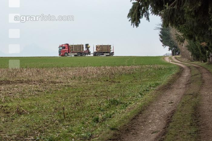 Holztransport mit LKW 1