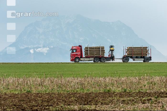 Holztransport mit LKW 5