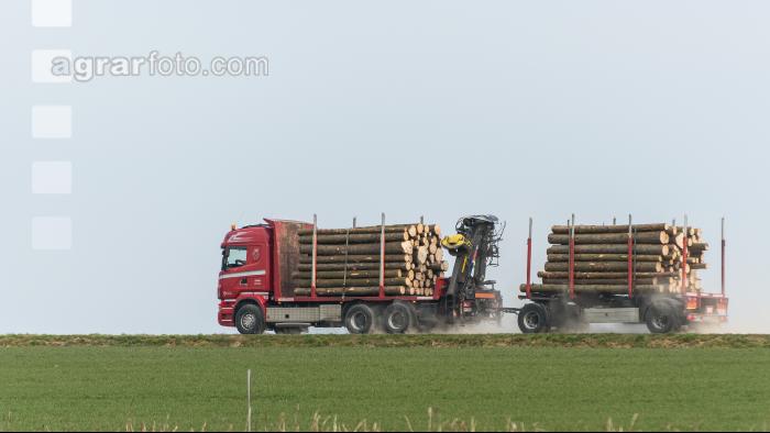 Holztransport mit LKW 3