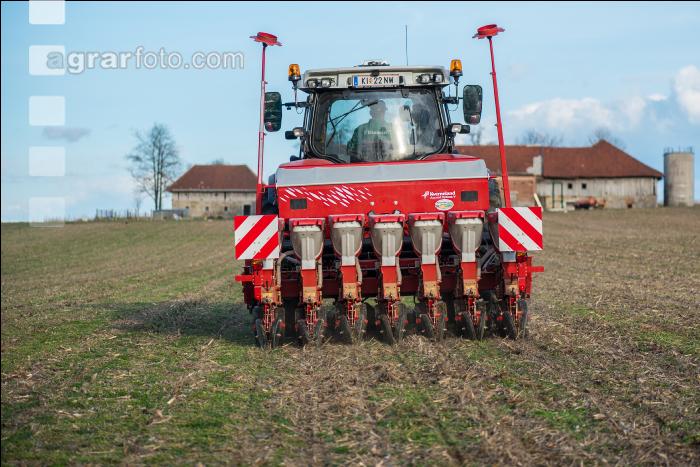 Ackerbohne Saat 14
