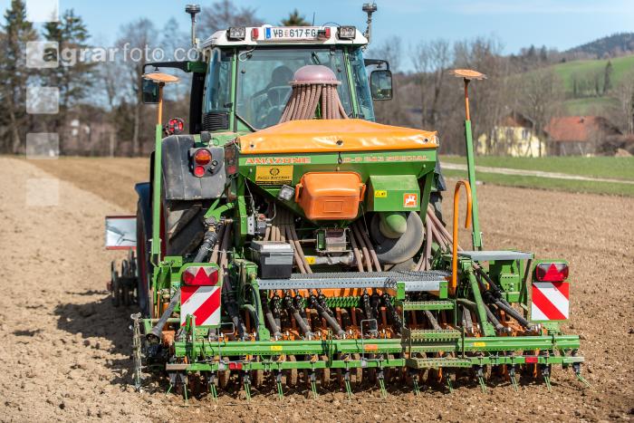 Getreidesaat im Frühjahr 15
