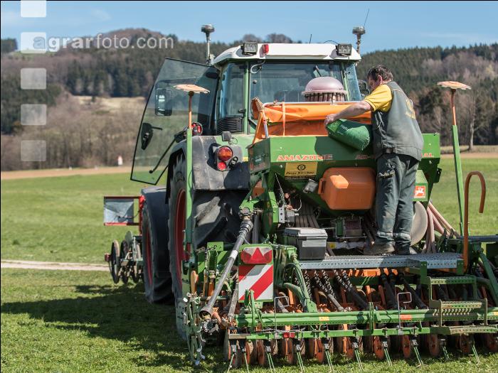 Getreidesaat im Frühjahr 4