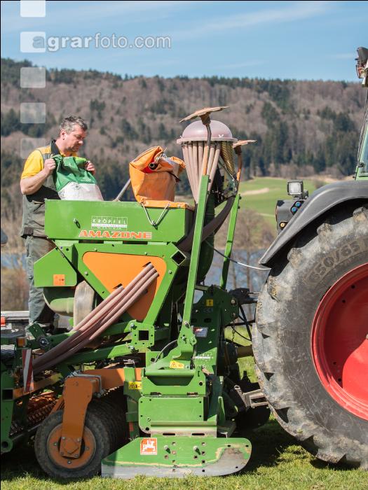 Getreidesaat im Frühjahr 2