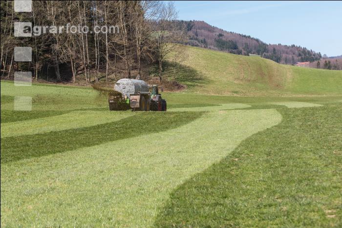Gülle auf Dauerwiese 7
