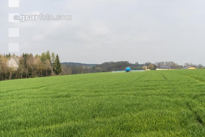 Wintergerste einkürzen 10