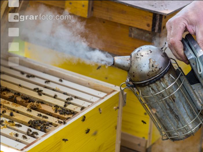 Smoker für Bienen 2