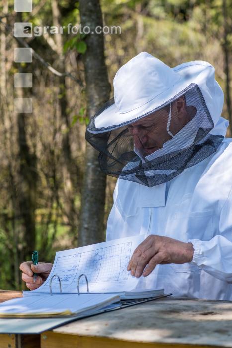 Bienenstock Aufzeichnungen 3