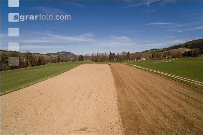 Getreidesaat im Frühjahr 7