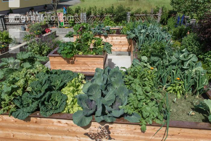 Bauerngarten Hochbeet 