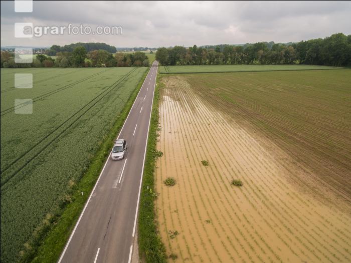 Hochwasser Mais 8