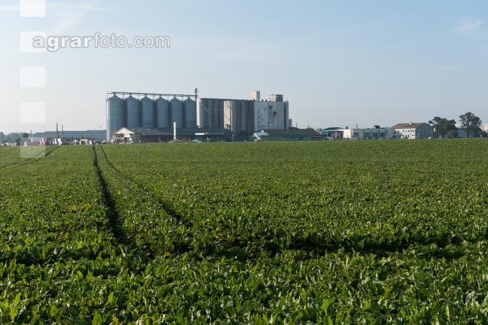 Getreidesilos 1