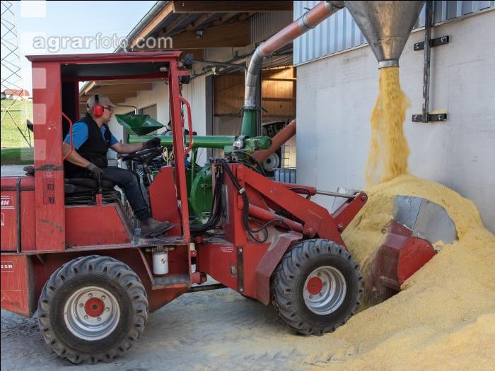 Maiskornsilage 35