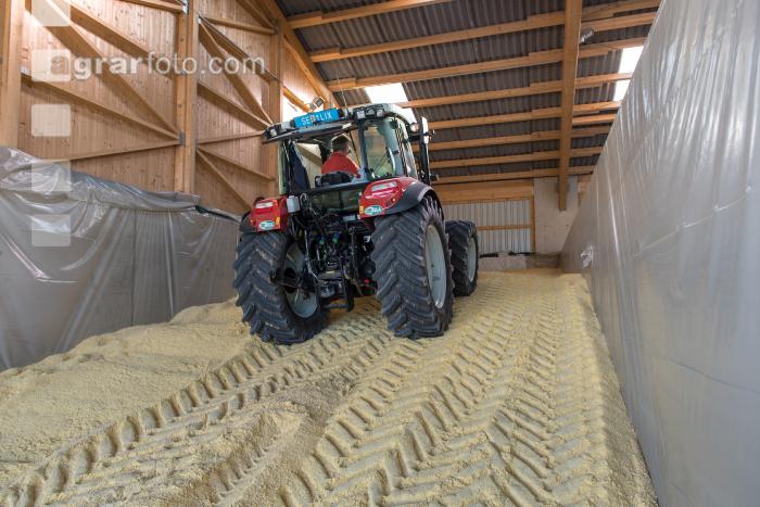 Maiskornsilage 27