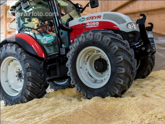 Maiskornsilage 19