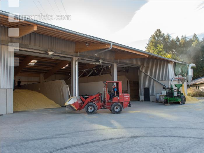 Maiskornsilage 18