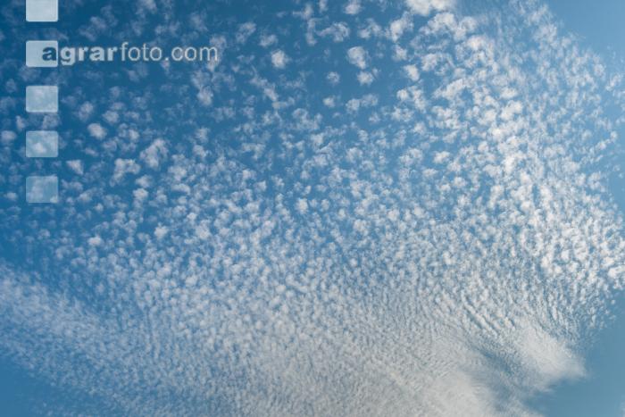 Schäfchenwolken 1
