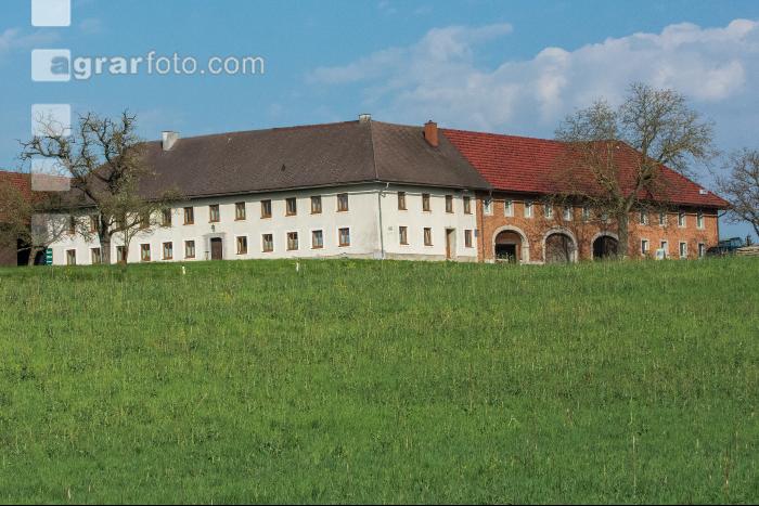 Bauernhof 15