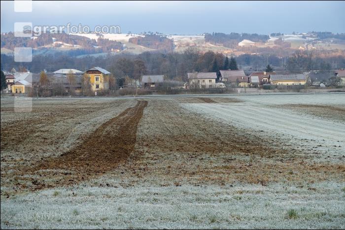 Mist auf frostige Wiese 23