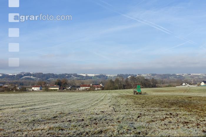 Mist auf frostige Wiese 14