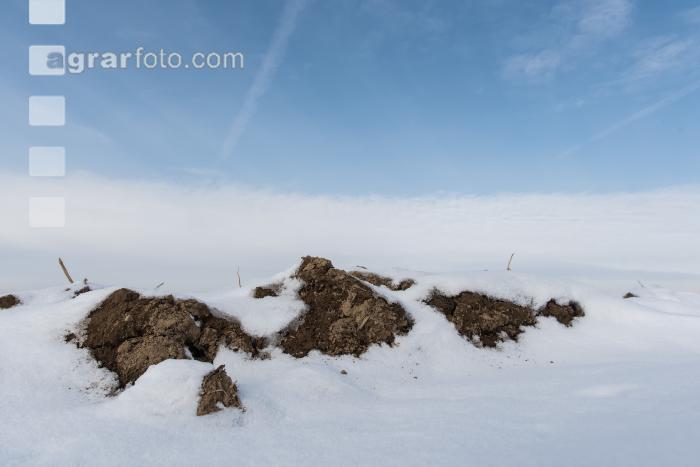 Ackerschollen im Winter 2