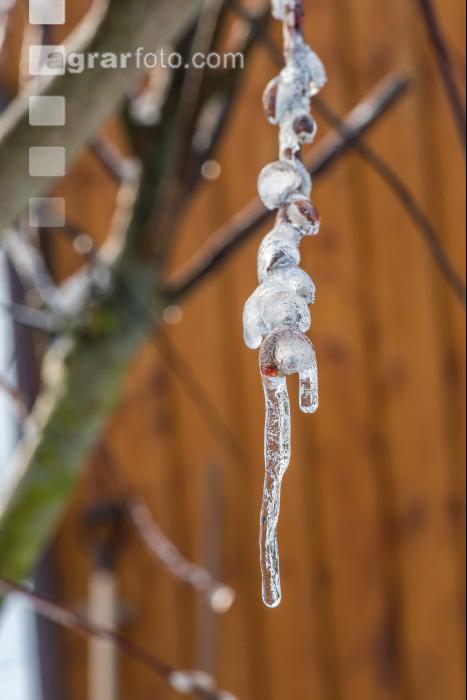 Eisregen 46