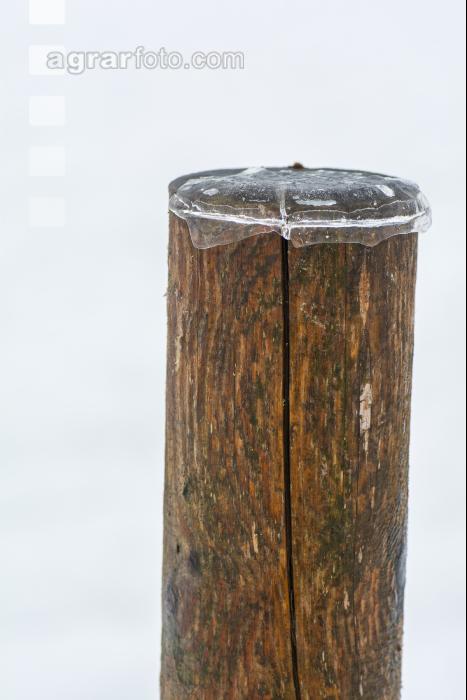 Eisregen 4