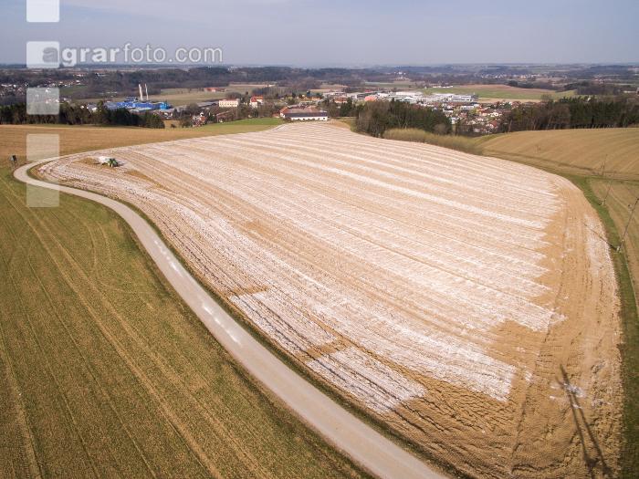 Branntkalk im Frühjahr 17