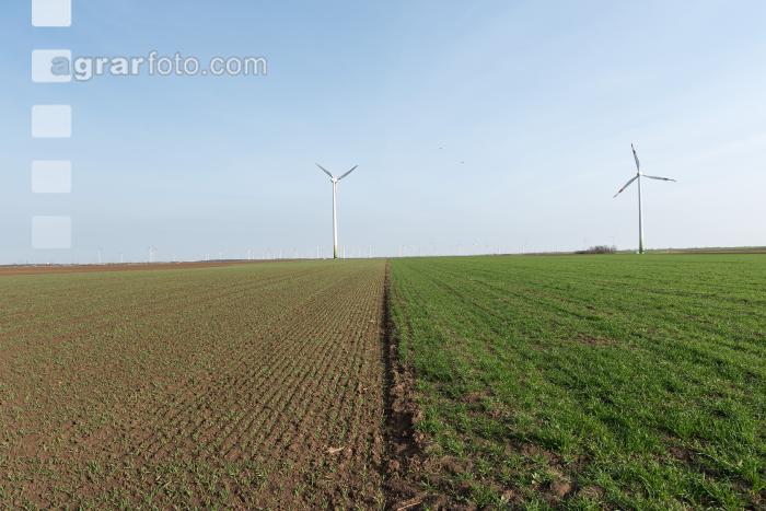 Windräder auf Ackerland 4