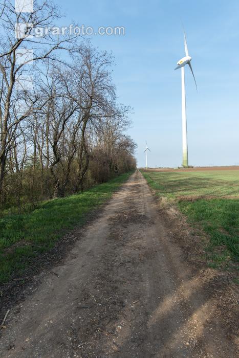 Windräder auf Ackerland 6