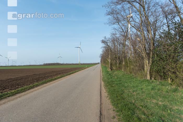 Windräder auf Ackerland 5