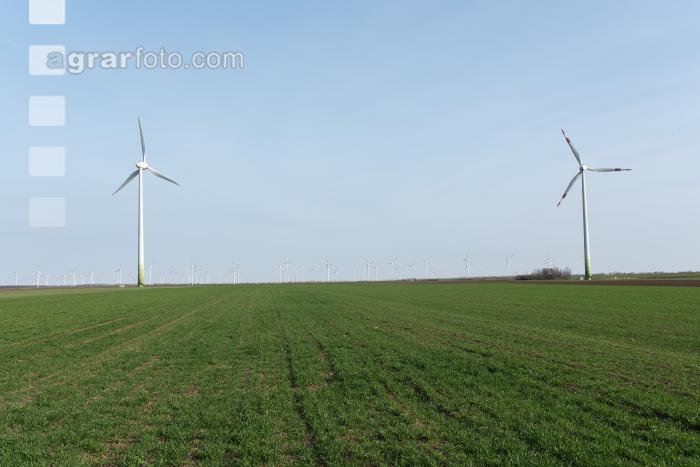 Windräder auf Ackerland 7