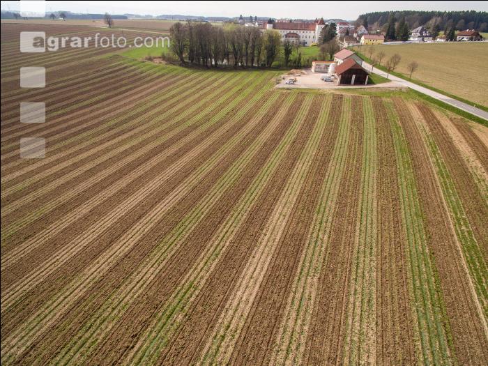 Dämme flach machen 15