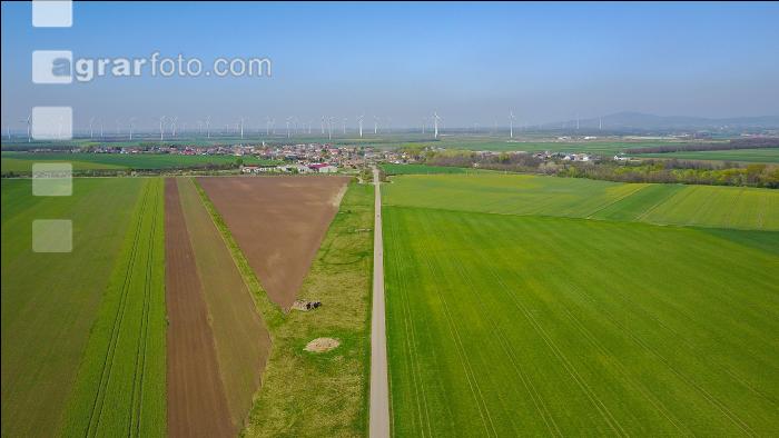 Agrarsteppe 9
