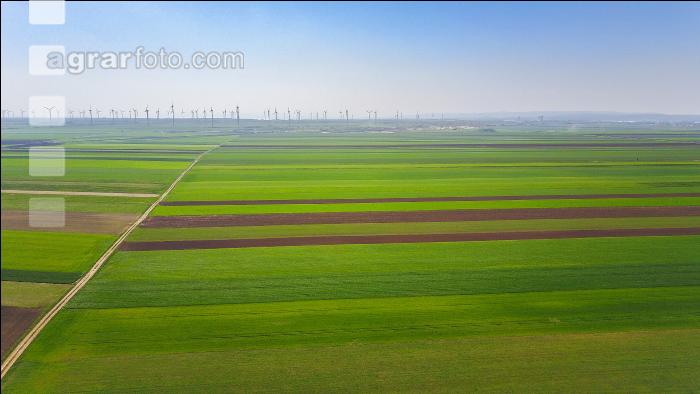 Agrarsteppe 8