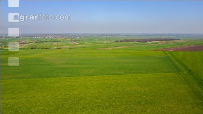 Agrarsteppe 7