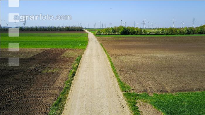 Agrarsteppe 5